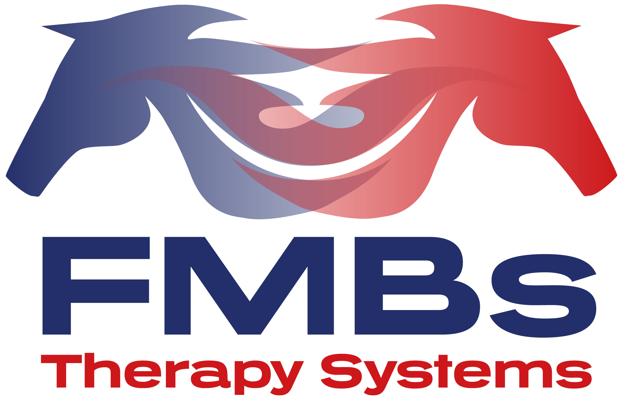 FMBS Therapy Systems logo